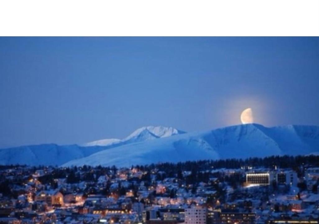 Polar Cozy - With View And Free Parking Apartment